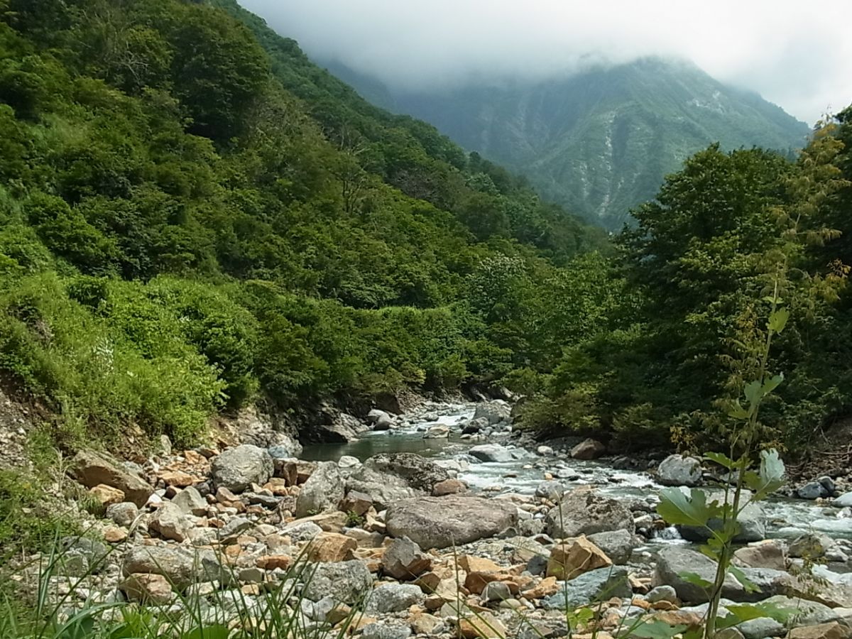 八海山 水無渓谷 八海石(21㎏) - 魚用品/水草