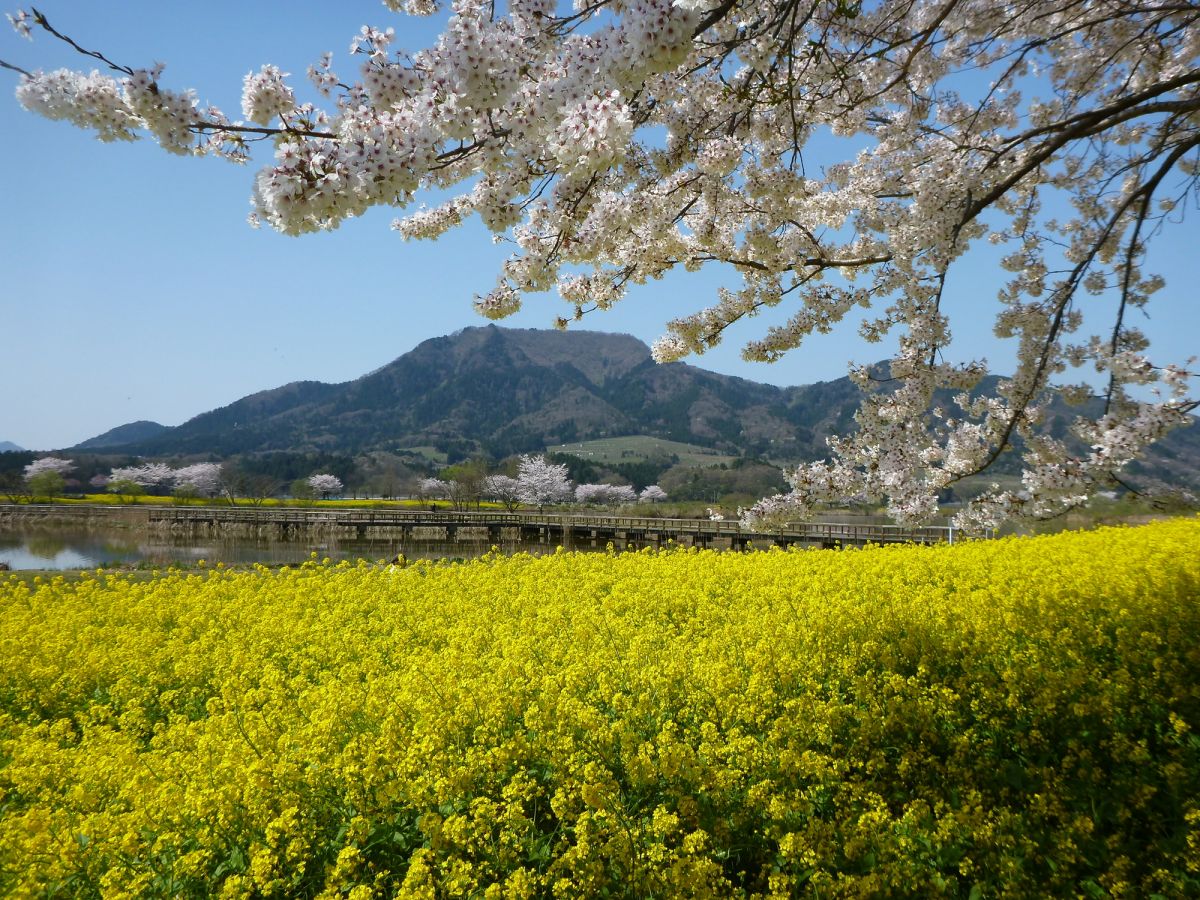 上 堰 潟 公園