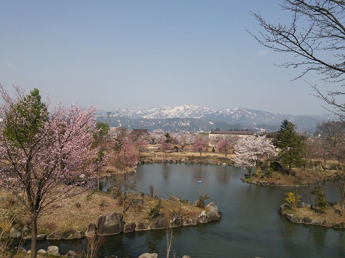 銭淵公園観桜会