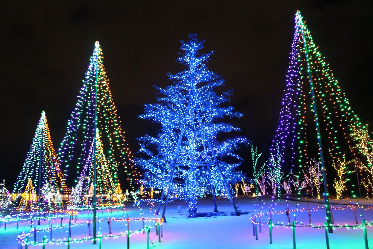 いくとぴあ食花 Winter Illumination 19 光の森 新潟のイベント 公式 新潟県のおすすめ観光 旅行情報 にいがた観光ナビ