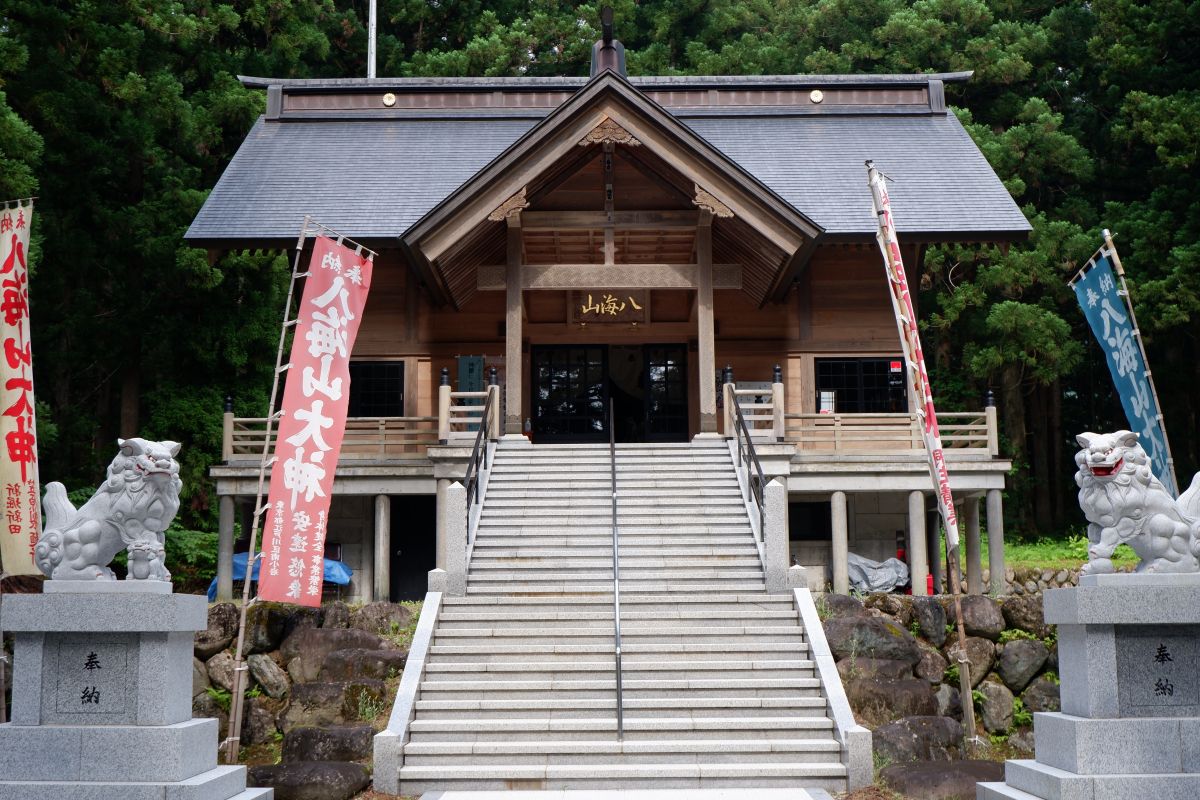 公の場での発言・インタビュー報道記録