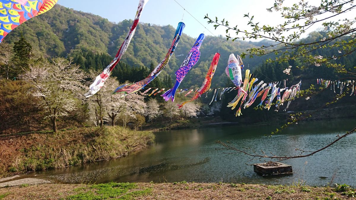 大崎ダム湖 新潟の観光スポット 公式 新潟県のおすすめ観光 旅行情報 にいがた観光ナビ