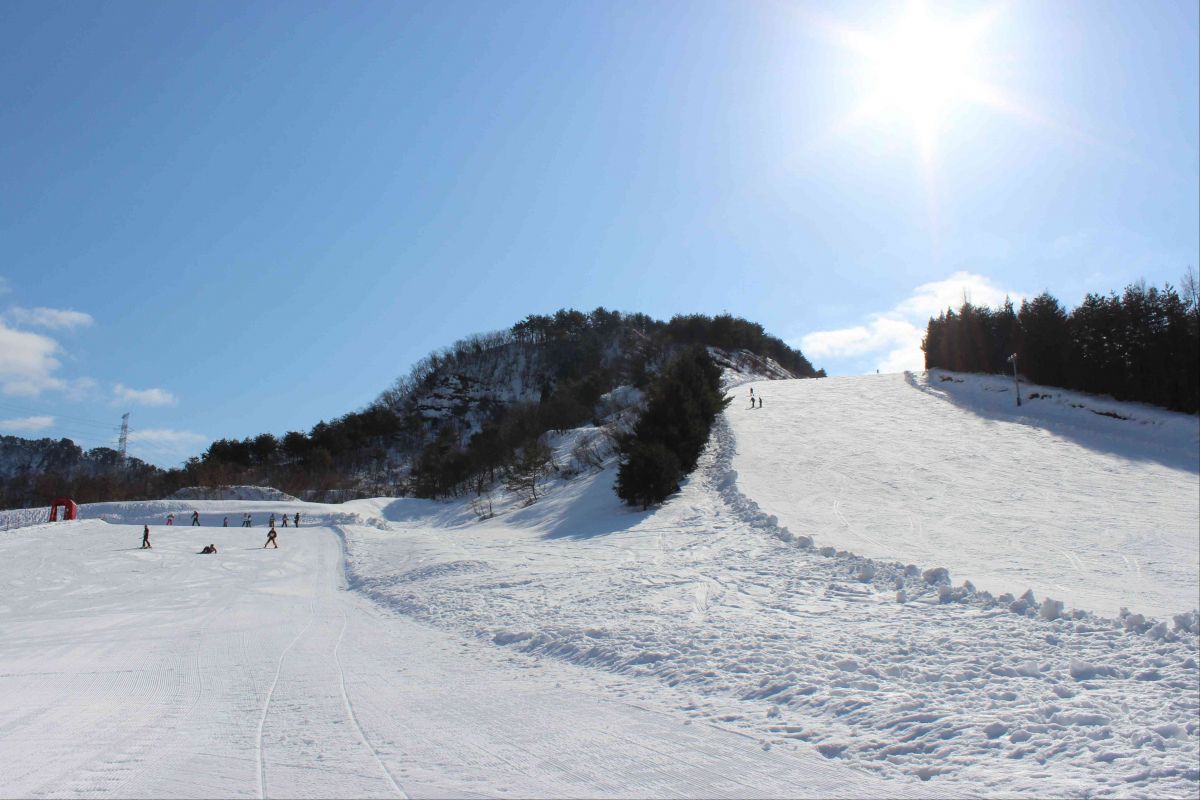 胎内スキー場｜新潟のスキー場｜【公式】新潟県のおすすめ観光・旅行