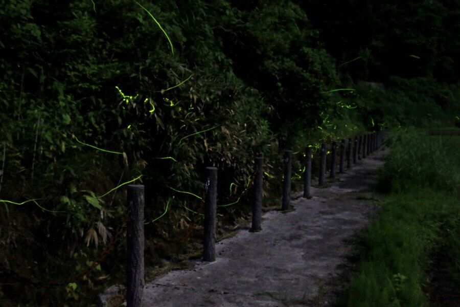 岩瀬ほたるの里｜新潟の観光スポット｜【公式】新潟県のおすすめ観光