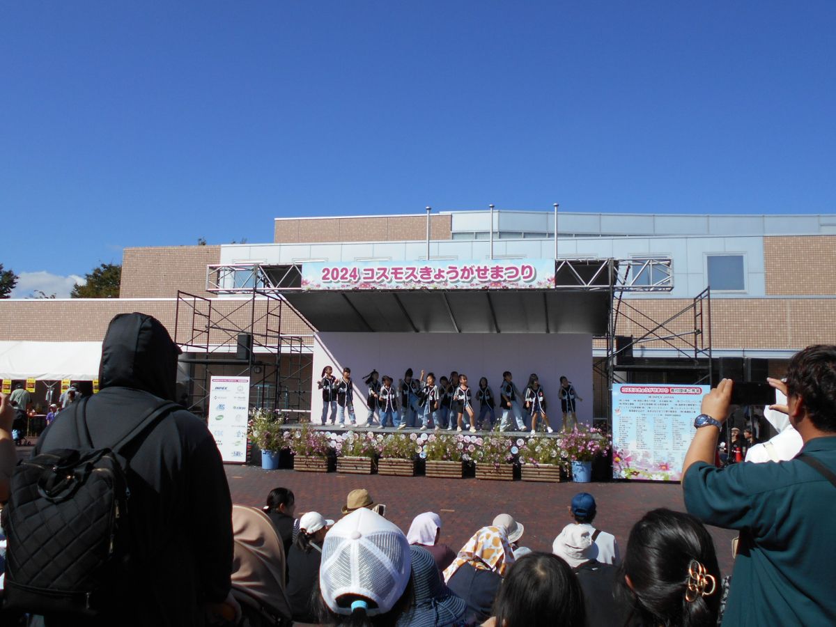 28th Cosmos Kyogase Festival
