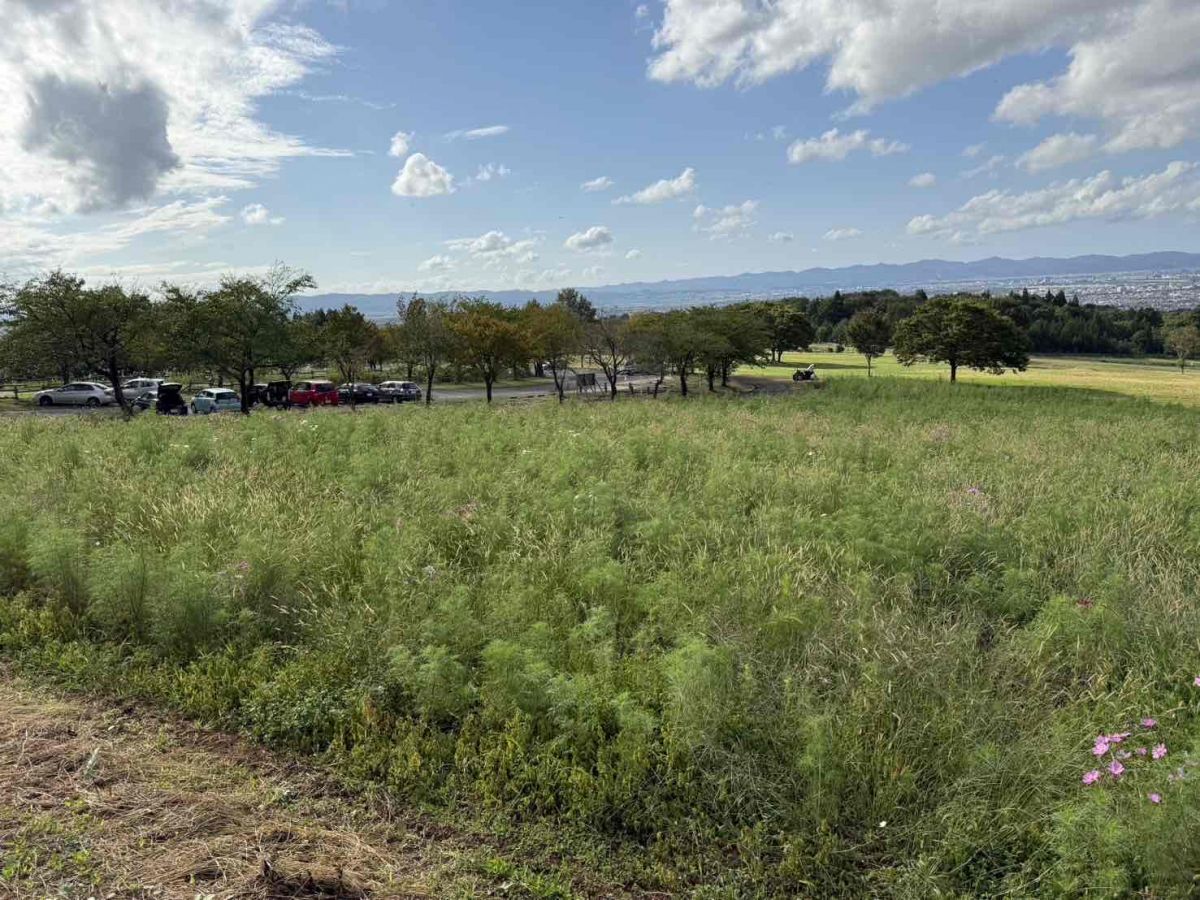 東山ふれあい農業公園