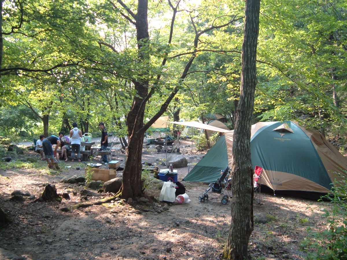 新潟 ドッグラン 安い 五頭山麓いこいの森 ペット