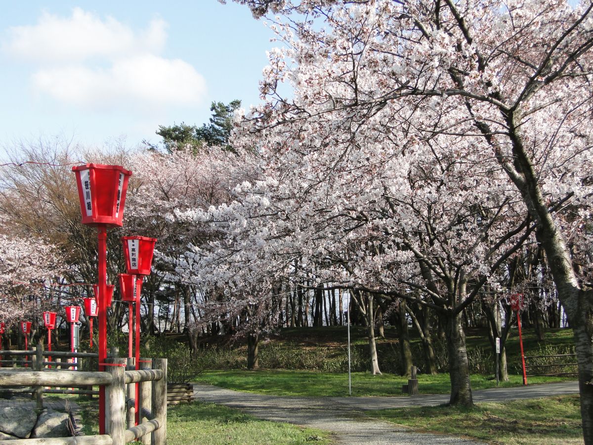 弁天潟観桜会 (グルメ屋台開催日)