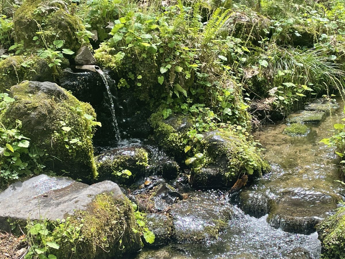 杜々の森名水公園｜新潟の観光スポット｜【公式】新潟県のおすすめ観光
