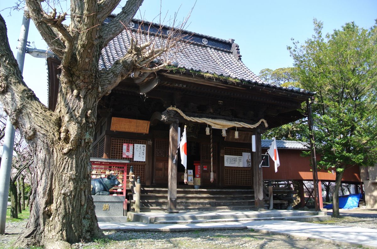本格派ま！ 蒲原神社｜新潟の観光スポット｜【公式】新潟県のおすすめ観光 人文+社会