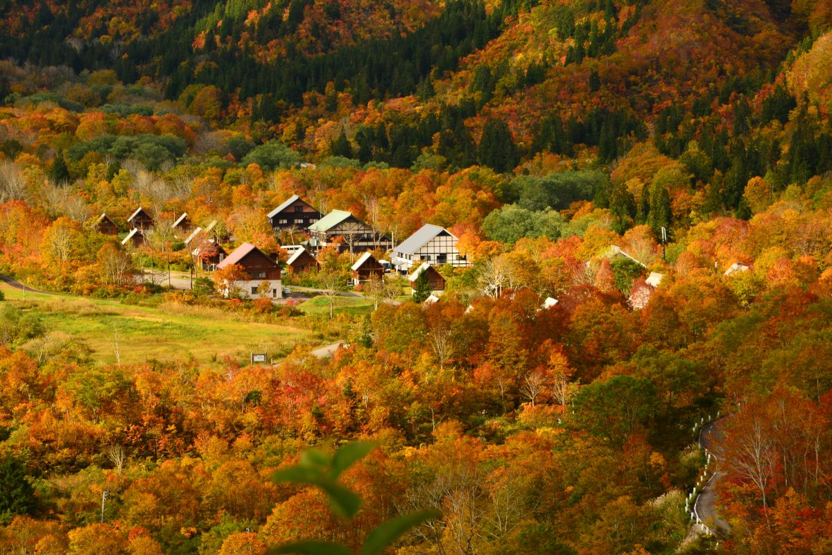 銀山平