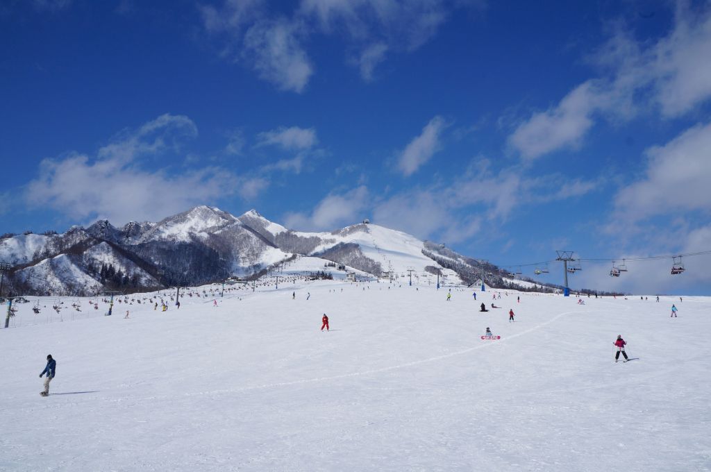 岩原スキー場｜新潟のスキー場｜【公式】新潟県のおすすめ観光