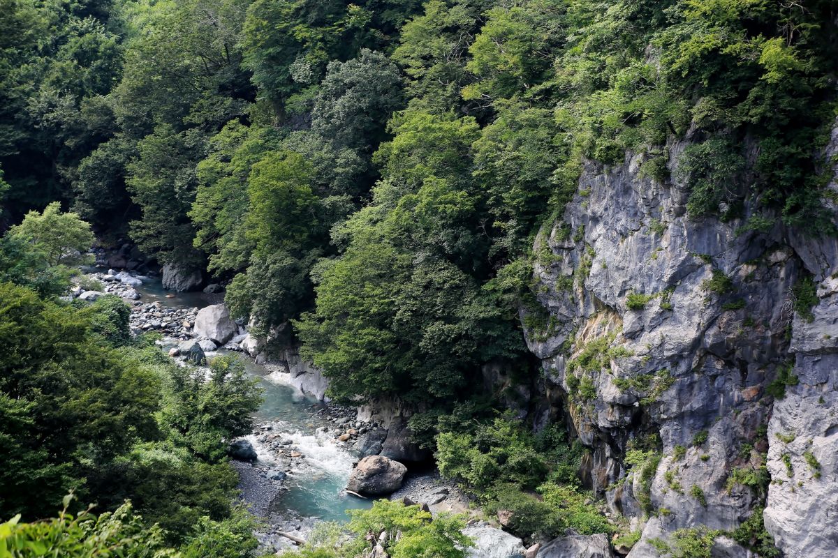 小滝川ヒスイ峡付近 天然石 庭石 6袋まとめ売り photo1jpg.jpg?w=1200&h=-1&s=1