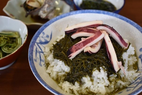 外海府のパワースポット岩谷口で地元漁師の豪快メシ 根もずく丼 をいただく さどん ぽ岩谷口 新潟の体験 公式 新潟県のおすすめ観光 旅行情報 にいがた観光ナビ