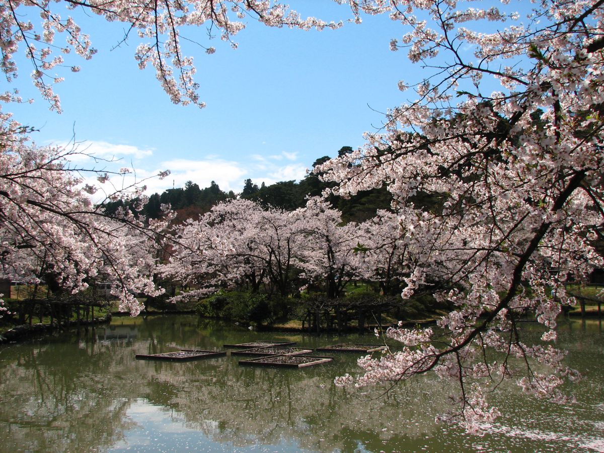 村松公園｜新潟の観光スポット｜【公式】新潟県のおすすめ観光・旅行