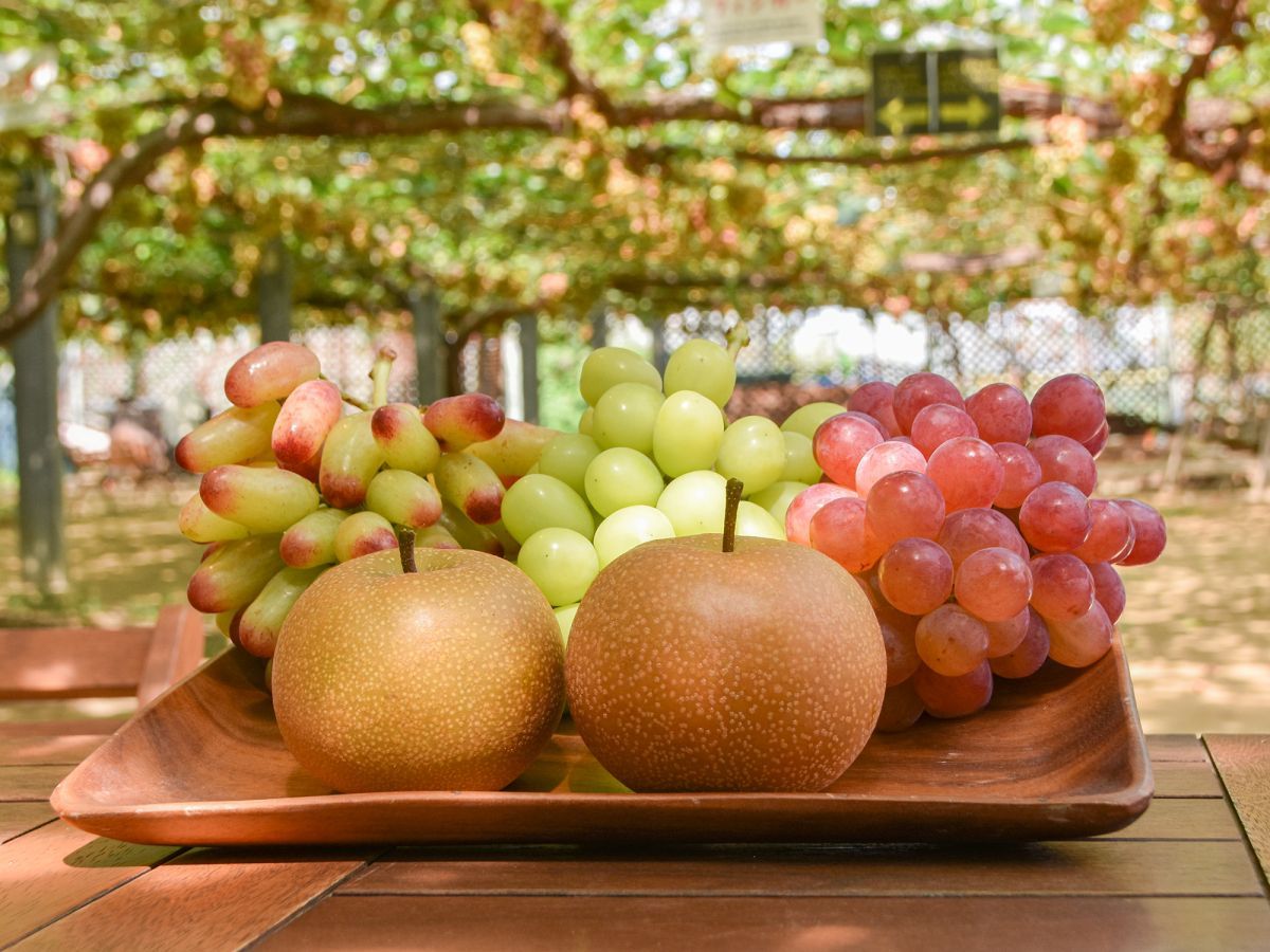 粛粲寶　額装【果物・フルーツ】(新潟県) フルーツ童夢やまだ農園｜新潟の観光スポット｜【公式】新潟県の