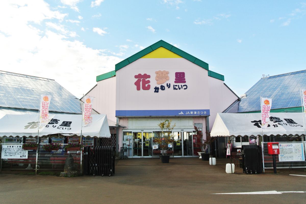 金華山新潟狂うページです☆ 道の駅 花夢里にいつ｜新潟の観光スポット｜【公式】新潟県の