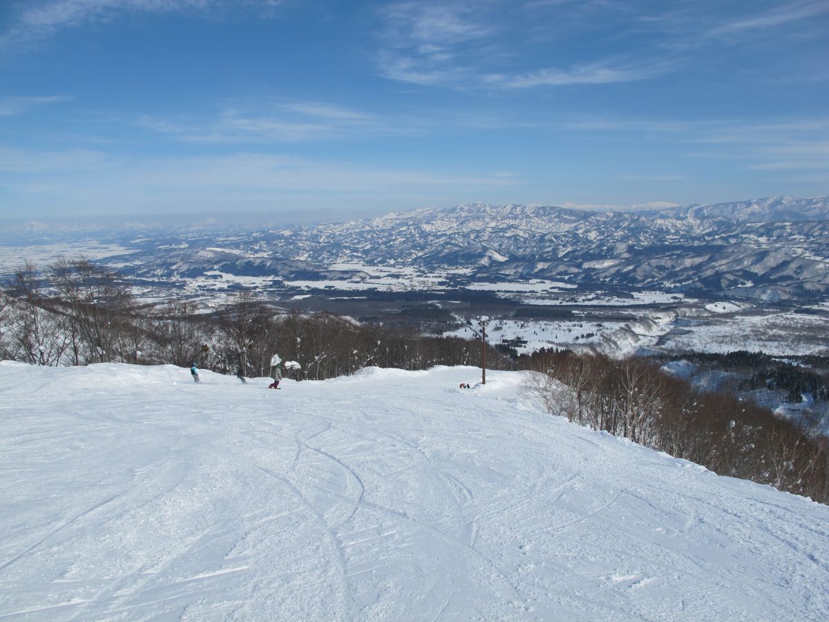 関温泉スキー場｜新潟のスキー場｜【公式】新潟県のおすすめ観光
