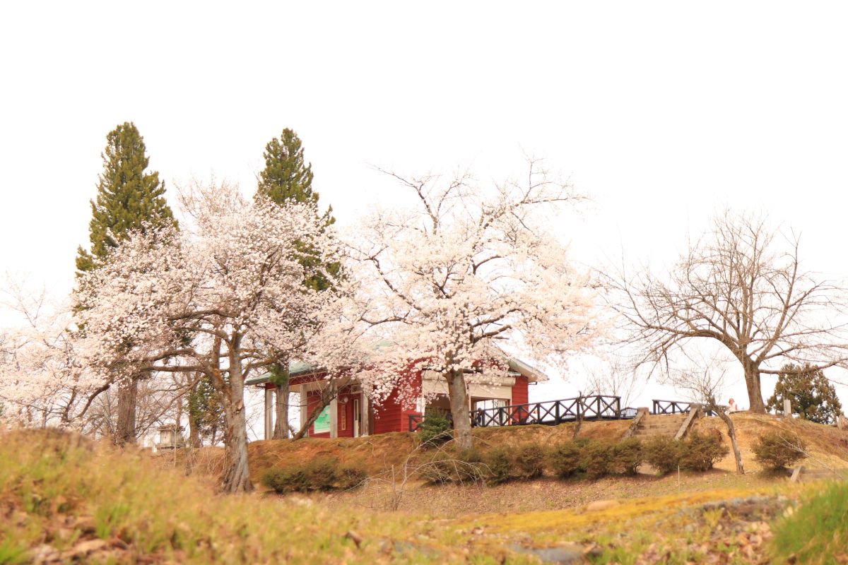 水道山・観音山公園｜新潟の観光スポット｜【公式】新潟県のおすすめ