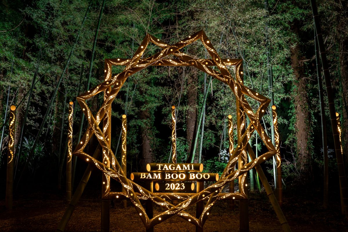 竹林の広さは昨年の3倍！パワーアップした「たがみバンブーブー2023