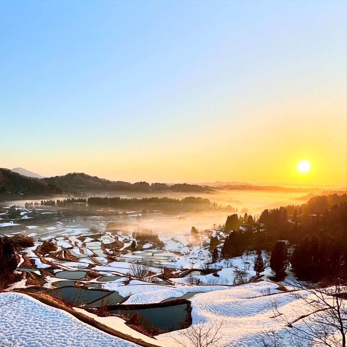 アウトドア初心者ファミリーにオススメ！里山で秘密のツリーグラン