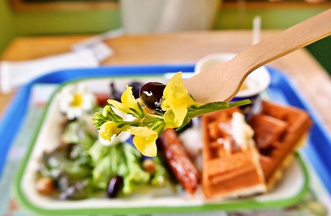 食べる花 エディブルフラワー「脇坂園芸」に行ってみた。／阿賀野市