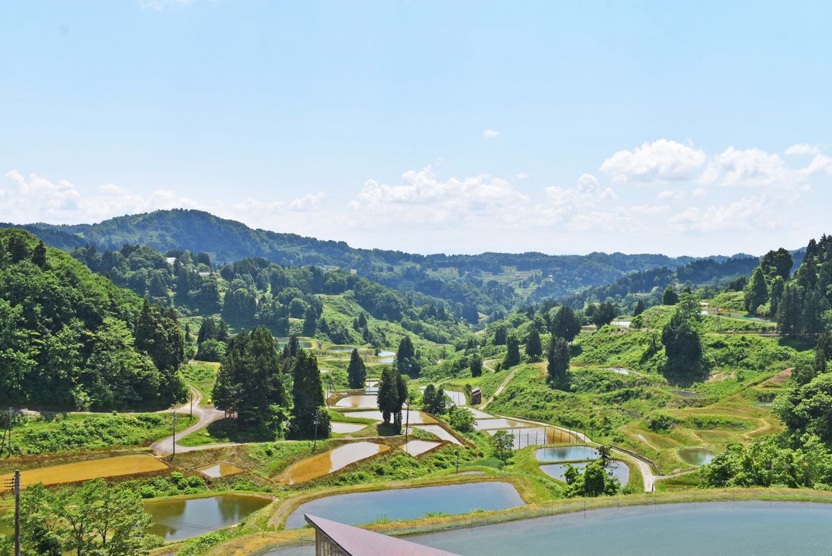 にこにこひろば」で眺める絶景の棚田と「山古志ごっつぉ多菜田（たなだ