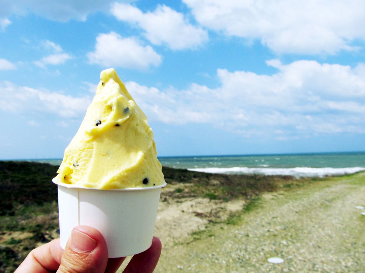 新潟で南国フルーツ！？「瀬波南国フルーツ園」へ行ってみた。／村上市