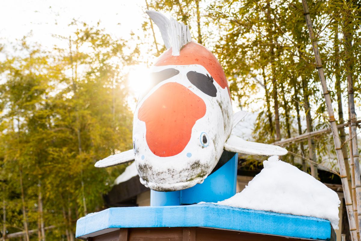 錦鯉に吸われ、巨大パフェを喰らう／小千谷市｜新潟県観光協会公式