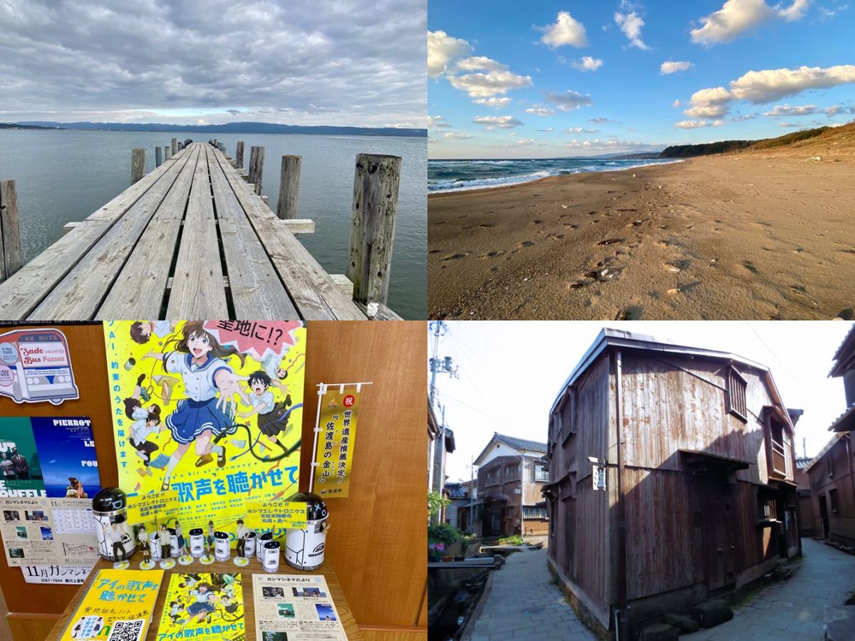 海♪kai様　予約分　魚沼 海♪kai様 予約分 魚沼