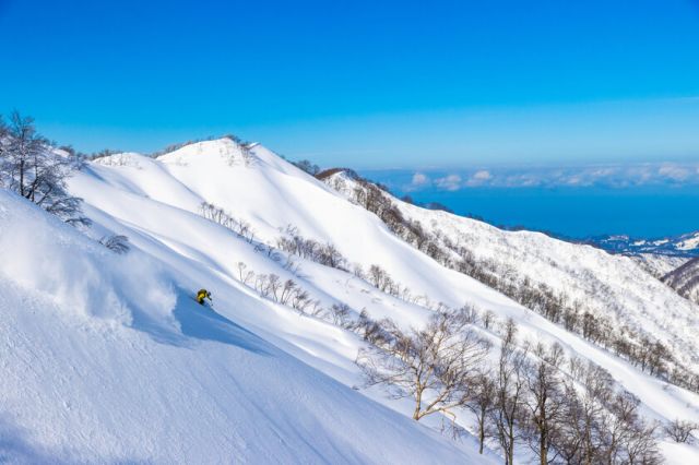 【アライマウンテンリゾート】12月14日オープンしました！！