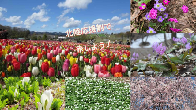【北陸応援割】『雪どけの長岡で春を楽しもう』を公開しました/長岡市