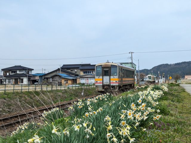 大糸線に乗って出かけよう!「大糸線プロモーション事業」を実施します