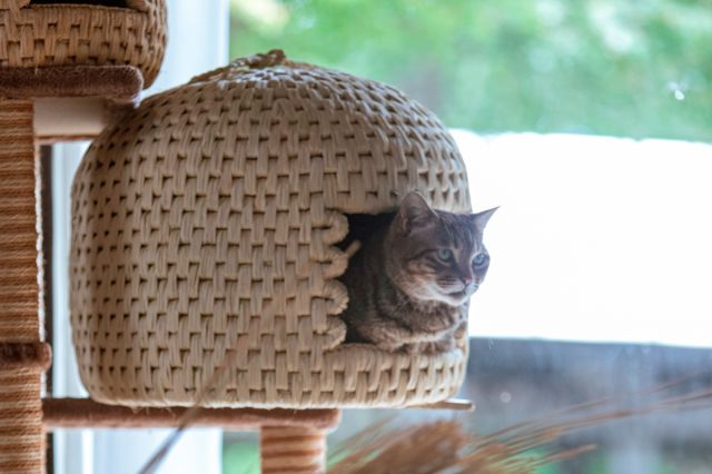 【ニイガタカルチャーツーリズム】新発田・村上の文化体感旅プレゼントキャンペーン