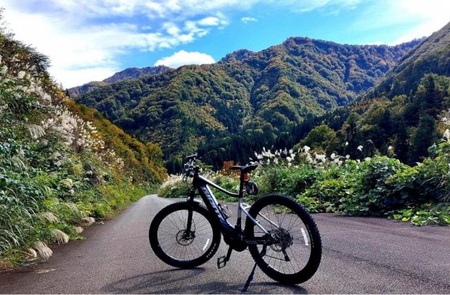 【新事業がスタートしました】湯沢町のグリーンシーズンを楽しもう!