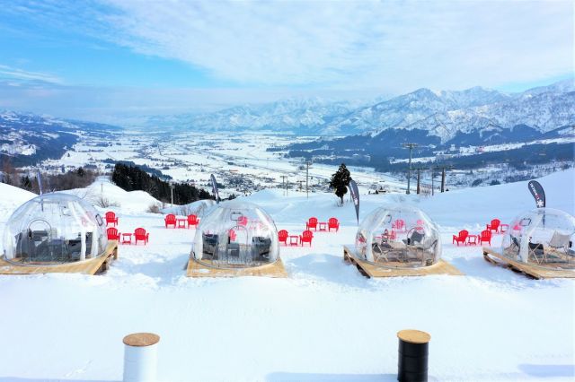 湯沢南魚沼共通リフト券「ELEVEN＋」2024-25 販売中！