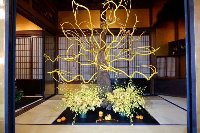 「華道家 假屋崎省吾の世界展 in 蔵春閣」を開催します／新発田市