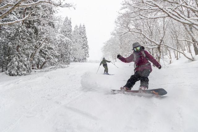 Mt Myokoスーパー早割券2024-25 販売中!