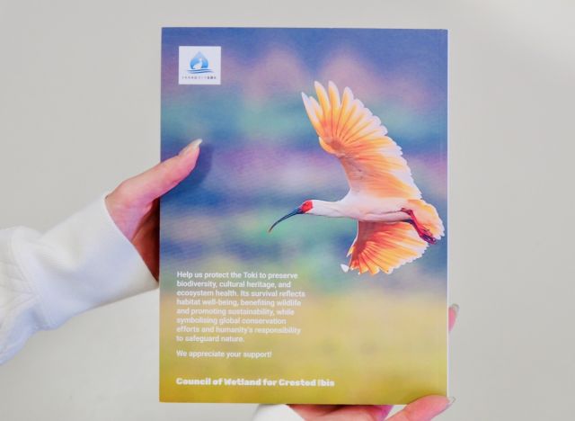 イギリスのメディア『ARCADIA』に新潟県が紹介されました