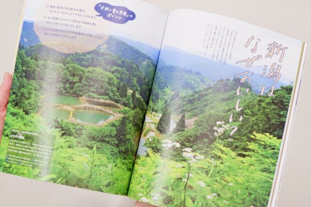 雑誌『新潟の本』 (LMAGA MOOK) が発行されました