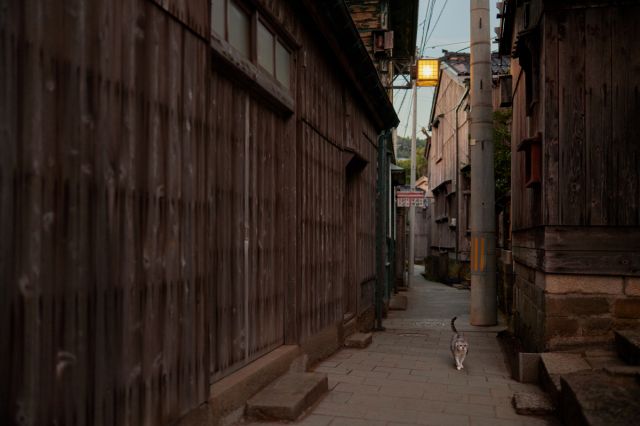 【CREA×新潟 フォトコンテスト 2025】あなたの“新潟の写真”を募集しています｜2026/1/31まで作品募集中