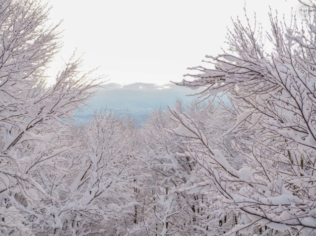 【東京・新潟で開催】「新潟県と27枚の風景写真展」を開催します
