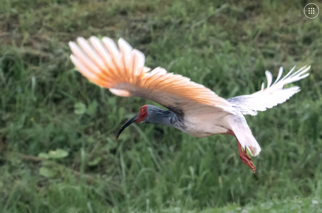 【東京・新潟で開催】「新潟県と27枚の風景写真展」を開催します