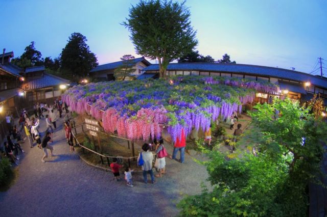 【LINE】北方文化博物館入館券プレゼントキャンペーン