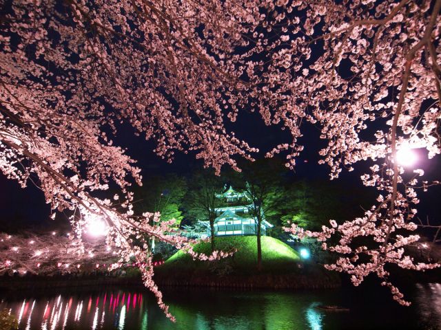 春の増発列車のお知らせ！！「桜海里」、「夜桜Shu＊Kura」など続々登場！！