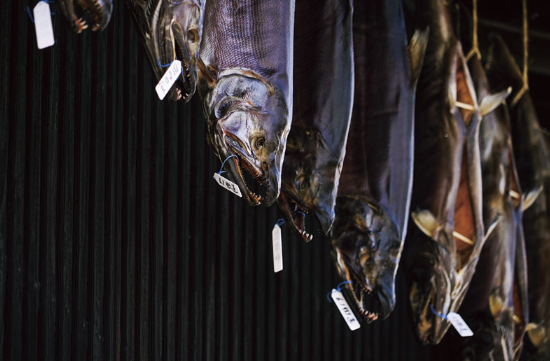 【オンライン講座】食の新潟ガイドブック　鮭とともにある歴史と食文化が残る新潟・村上の鮭文化を訪ねる　9/30開催