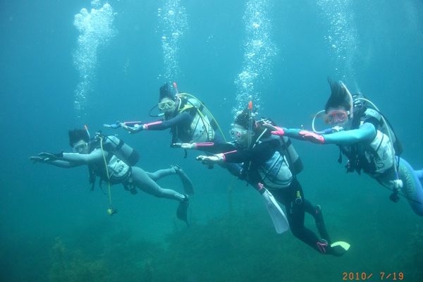 お魚と一緒に水中散歩！地元ダイバーがご案内