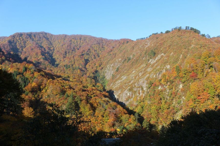 八十里越の紅葉