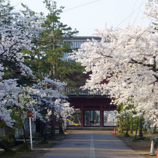 法華宗総本山 本成寺