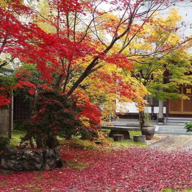 法華宗総本山 本成寺